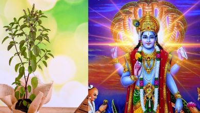 Photo of लग गया है कार्तिक का महीना, तुलसी पूजा का है विशेष महत्व