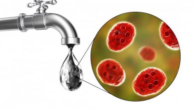 Photo of पूर्वांचल में जल जनित व संचारी रोगों के रोकथाम पर हुआ मंथन