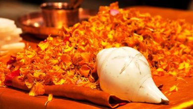 Photo of शंख है बहुत शुभफलदायी, इन उपायों से ग्रहों को भी कर सकते हैं शांत