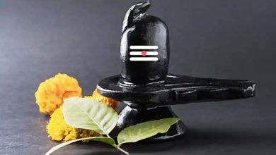 Photo of कल है महाशिवरात्रि, भोलेनाथ को भूलकर भी अर्पित न करें ये सामग्रियां