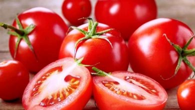 Photo of अत्यधिक टमाटर खाने के ये हैं साइड इफेक्ट्स, जरूर पढ़ें यह जानकारी