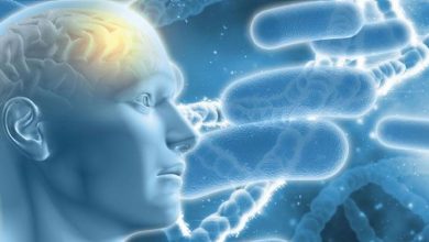 Photo of दिल की बातें साझा करने से कम होता है अल्जाइमर का जोखिम