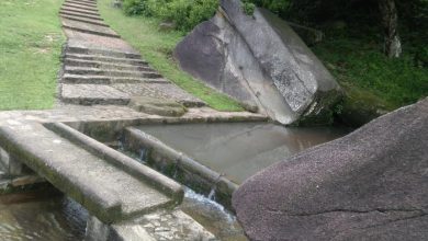 Photo of पर्यटकों को आकर्षित करता है असम का गोवालपारा, प्राचीन इमारतों के लिए है प्रसिद्ध