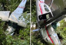 Photo of रीवा में विमान क्रैश, पायलट की मौत