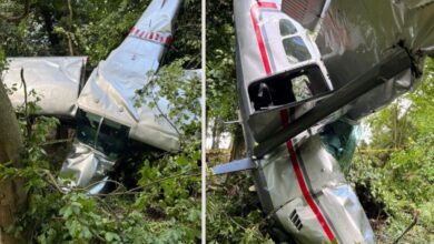 Photo of रीवा में विमान क्रैश, पायलट की मौत
