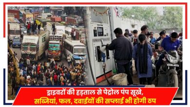Photo of Truck Driver Strike: हड़ताल से पेट्रोल पंप सूखे, सब्जियां, फल, दवाईयों की सप्लाई भी असर