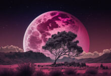 Photo of Full Pink Moon 2024: आसमान में आज चाँद गुलाबी होगा, पिंक मून पर बनेगा पंचग्रही योग