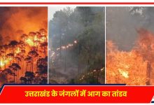 Photo of Uttarakhand Forest Burning: उत्तराखंड के जंगलों में आग का तांडव, वायुसेना ने संभाला मोर्चा