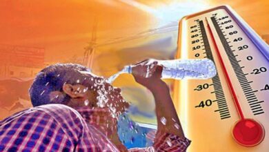 Photo of Heat Wave Update: आसमान से बरस रही आग, अब तक हीट स्ट्रोक से 43 लोगों ने गंवाई जान