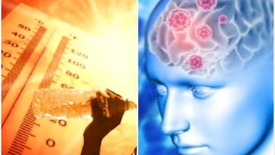 Photo of Summer Health Tips: भीषण गर्मी में भूलकर भी न करें ये काम, वर्ना पड़ सकता है सेहत पर नुकसान..