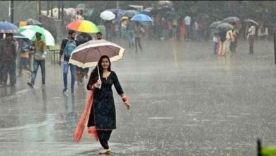Photo of Monsoon Update: समय से पहले मानसून की एंट्री क्यों?, मौसम वैज्ञानिक ने खोला राज, वजह बहुत बड़ी…