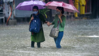 Photo of Monsoon Update: झमाझम बरसेंगे बदरा, समय से पहले होगी मॉनसून की एंट्री