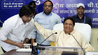 Photo of BSP: बसपा में आकाश आनंद की वापसी, फिर मिली अहम जिम्मेदारी, चुनौतियां से कैसे पार पाएंगे?