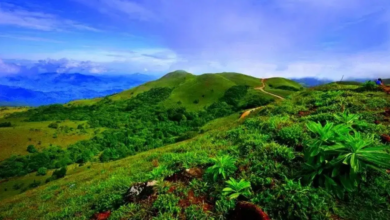 Photo of कम पैसे में घूमें भारत की खूबसूरत डेस्टिनेशन, मूड को करें लाइट…