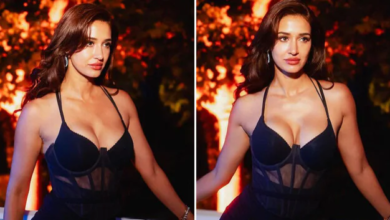Photo of दिशा पाटनी के सिजलिंग पोज, हॉटनेस ओवरलोडेड