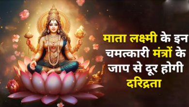 Photo of मां लक्ष्मी की होगी कृपा…शुक्रवार को पूजा में करें इन मंत्रों का जप, मिलेगी पैसों की तंगी से मुक्ति