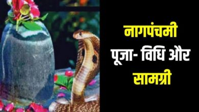 Photo of नाग पंचमी में बन रहा दुर्लभ संयोग, जानें शुभ मुहूर्त और पूजा विधि