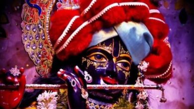 Photo of भव्य होगा श्रीकृष्ण जन्माष्टमी महामहोत्सव, 5251 साल के हो जाएंगे हमारे आराध्य