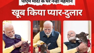 Photo of PM हाउस में आया नन्हा मेहमान… दुलारते दिखे पीएम मोदी