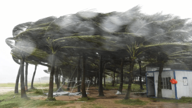 Photo of Typhoon Yaagi: ‘यागी’ तूफान ने मचाई तबाही, कई इलाकों में बाढ़ का संकट