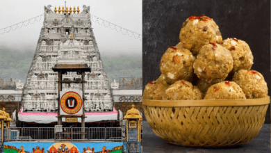 Photo of Tirupati Laddu: मंदिर प्रशासन ने जारी किया बयान, लड्डू प्रसादम अब पवित्र और बेदाग