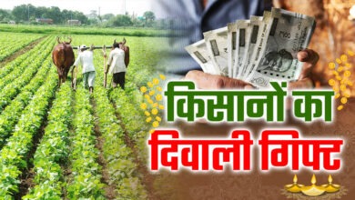Photo of अन्नदाता को सरकार का दीपावली गिफ्ट… गेहूं समेत 6 फसलों पर बढ़ाई MSP