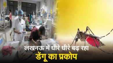 Photo of लखनऊ में डेंगू का प्रकोप, मरीजों की संख्या 1100 के पार