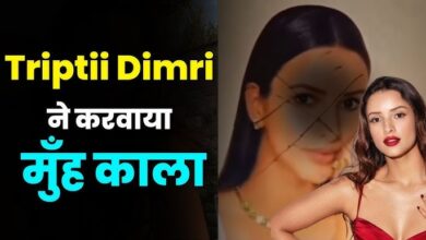 Photo of Tripti Dimri पर फूटा लोगों का गुस्सा…ऐसा क्या हुआ जो पोस्टर पर पोती कालिख