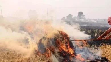 Photo of पराली जलाया तो भरना होगा भारी जुर्माना… SC के फटकार पर केंद्र सरकार सख्त