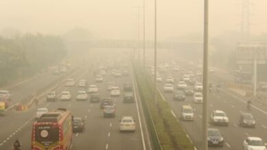 Photo of Delhi Pollution: दिवाली पर दिल्लीवालों ने सारे आदेशों का किया धुआं-धुआं, जमकर की आतिशबाजी