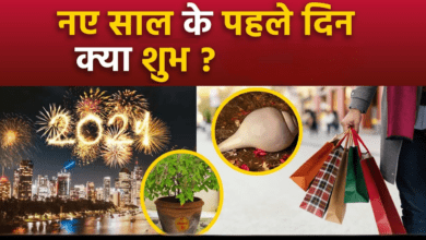 Photo of New Year 2025: साल के पहले दिन इन चीजों का दिखना, सुख, समृद्धि का संकेत…