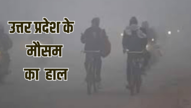 Photo of UP Weather: लखनऊ में कोहरे का येलो अलर्ट, कई शहरों में घने कोहरे के साथ शीतलहर