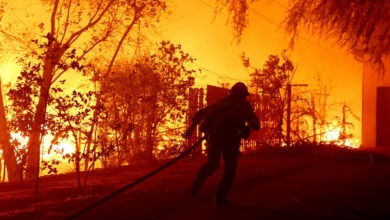 Photo of California Fire में कैदियों की बल्ले-बल्ले, सजा में छूट के साथ हो रही बंपर कमाई