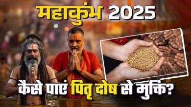 Photo of Maha Kumbh 2025: स्नान के बाद करें ये काम, पितृदोष से मिलेगी मुक्ति