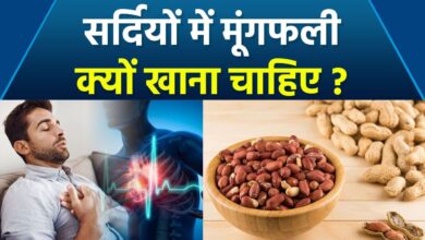 Photo of मूंगफली में छिपा है सेहत का खजाना… सर्दियों में बढ़ा क्रेज