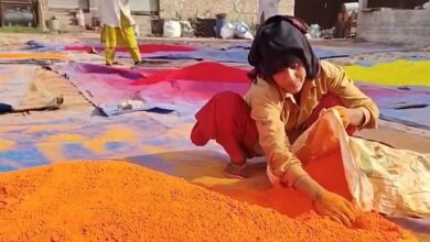 Photo of Holi: संभल का हर्बल गुलाल, यूपी से लेकर तमिलनाडु तक है इसकी धाक