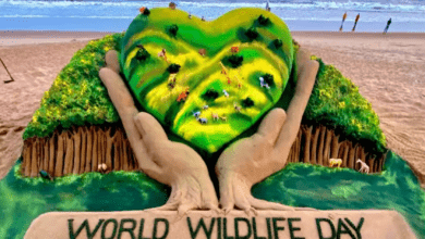 Photo of World Wildlife Day पर रेत की कलाकृति से संरक्षण का सन्देश…