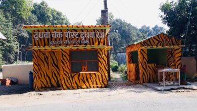 Photo of जंगल में जश्न की तैयारी… नवंबर में आयोजित होगा पहला दुधवा महोत्सव