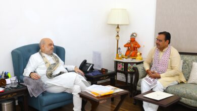 Photo of Rajasthan CM ने गृह मंत्री अमित शाह से की मुलाकात, विकास के मुद्दों पर हुई चर्चा