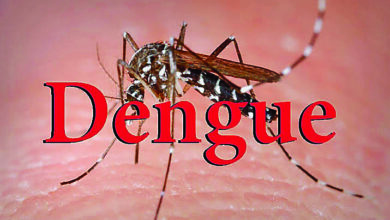 Photo of Dengue Day पर बोले CM Yogi… घबराएं नहीं, अपनाएं ये आसान उपाय!
