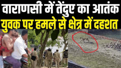 Photo of वाराणसी में तेंदुए के आतंक से ग्रामीण खौफ में… एक्शन में वन विभाग