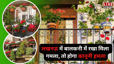 Photo of लखनऊ में घरों की बालकनी में गमले रखने पर रोक, LDA ने जारी किया आदेश