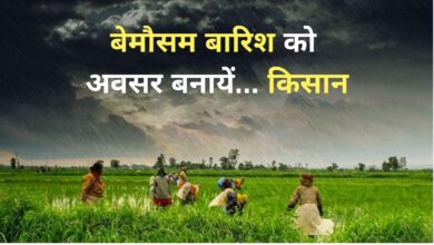 Photo of बिन मौसम बरसात को बनाये अवसर… किसान, नमी में करें इस फसल की बोआई