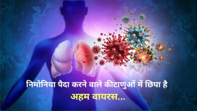 Photo of Pneumonia पैदा करने वाले कीटाणुओं में छिपा है एक अहम वायरस, अध्ययन में खुलासा