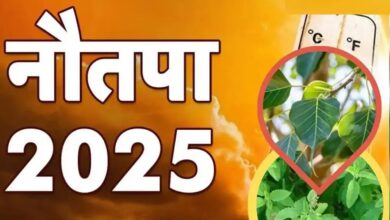 Photo of नौतपा में बेहद शुभ माने जाते हैं ये पौधें, घर लाते हैं सुख-समृद्धि