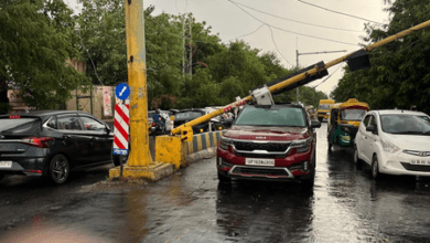 Photo of Noida में बारिश और आंधी से कई पेड़ धराशायी; कार पर गिरा रेड लाइट का पोल