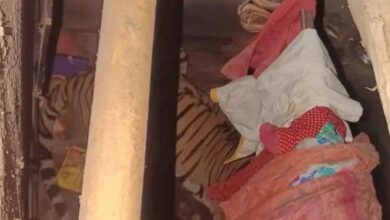 Photo of Ranchi के एक घर में घुस आया बाघ, बाहर जमा है हजारों की भीड़…12 घंटे से चल रहा रेस्क्यू