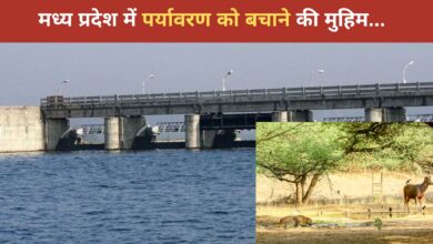 Photo of TIGHRA DAM क्षेत्र को जैव विविधता क्षेत्र बनाएंगे पुलिस के जवान