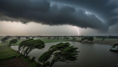 Photo of UP Weather: यूपी में आज इन जिलों में बारिश का अलर्ट, जानें कब दस्तक दे सकता है मानसून