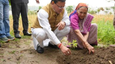Photo of Uttarakhand में सीएम धामी ने किया वृक्षारोपण, पर्यावरण संरक्षण का दिया संदेश